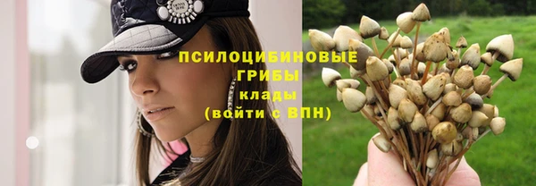 прущая мука Вязьма