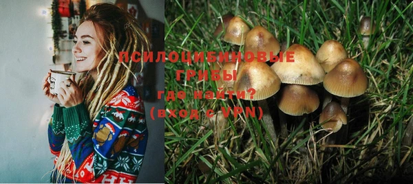 прущая мука Вязьма