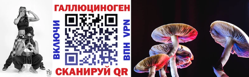 Купить закладки  Калуга  Псилоцибиновые грибы мухоморы 